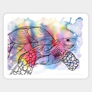 Madagascar Turtle Colorful Watercolor Illustration Sticker